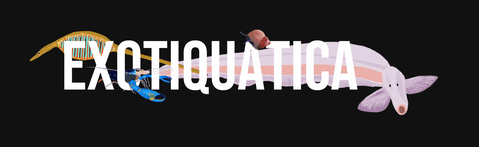 Exotiquatica